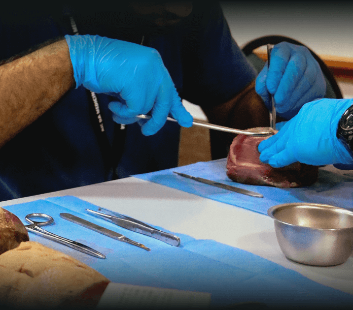 prática de cirurgia em um orgão sobre uma mesa