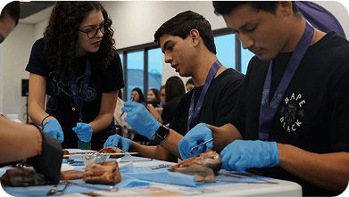 alunos em uma aula prática